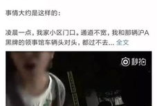 骂人视频,揭秘网络恶语相向的黑暗面